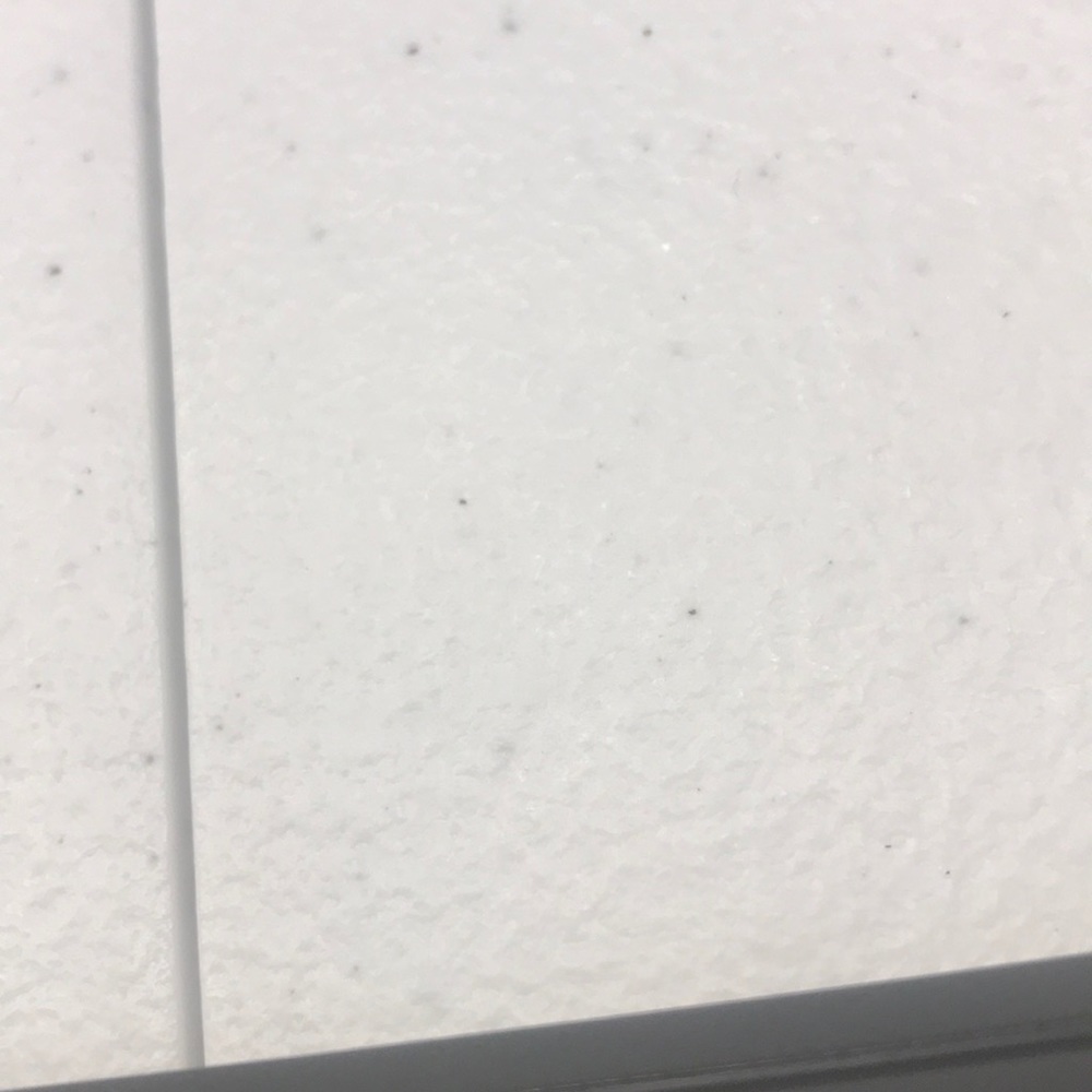 Meet your Posher, London